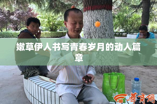 嫩草伊人书写青春岁月的动人篇章