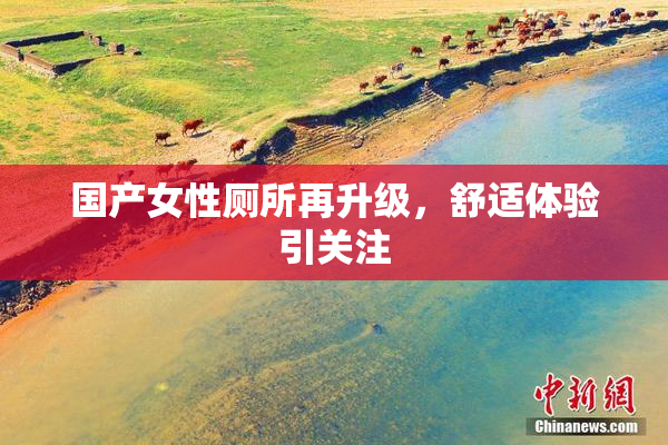 国产女性厕所再升级，舒适体验引关注