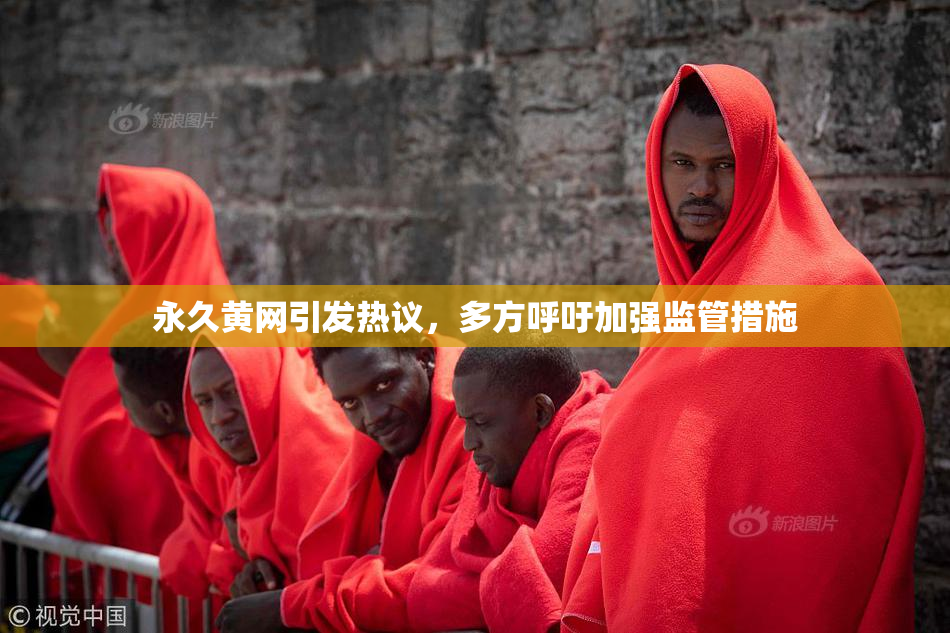 永久黄网引发热议，多方呼吁加强监管措施