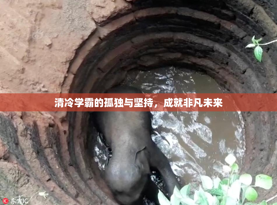 清冷学霸的孤独与坚持，成就非凡未来