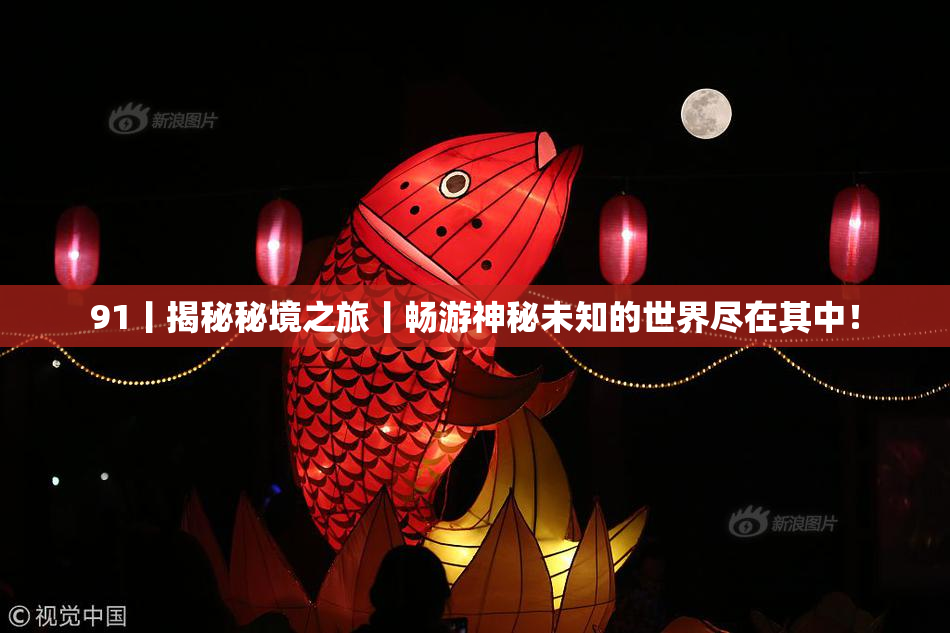91丨揭秘秘境之旅丨畅游神秘未知的世界尽在其中！