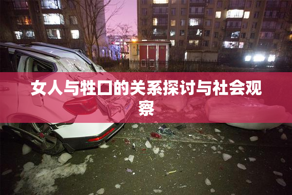 女人与牲囗的关系探讨与社会观察