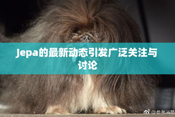 Jepa的最新动态引发广泛关注与讨论