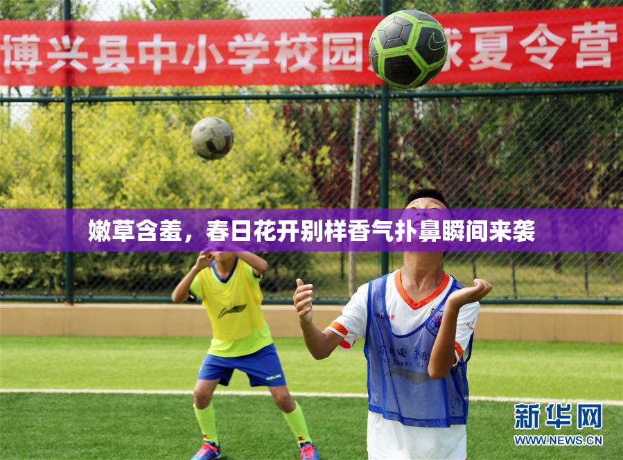 嫩草含羞，春日花开别样香气扑鼻瞬间来袭