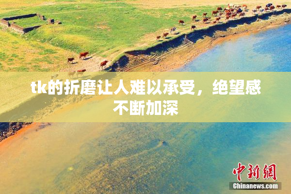tk的折磨让人难以承受，绝望感不断加深