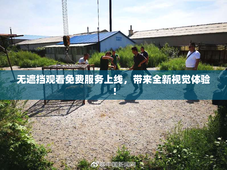 无遮挡观看免费服务上线，带来全新视觉体验！