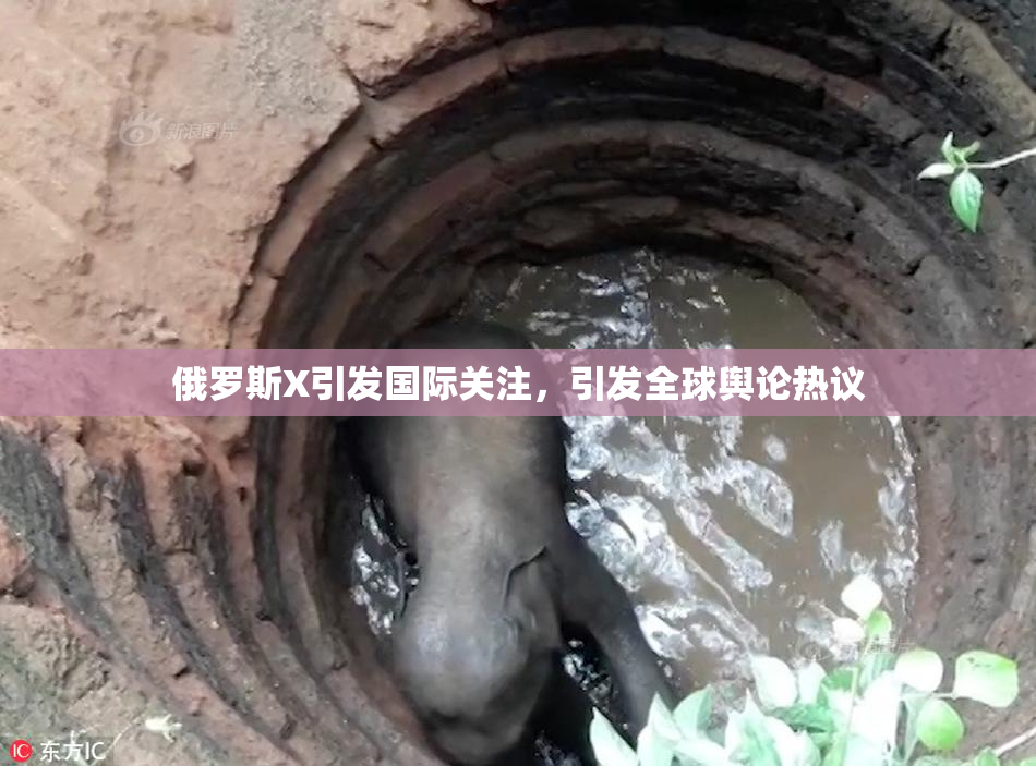 俄罗斯X引发国际关注，引发全球舆论热议
