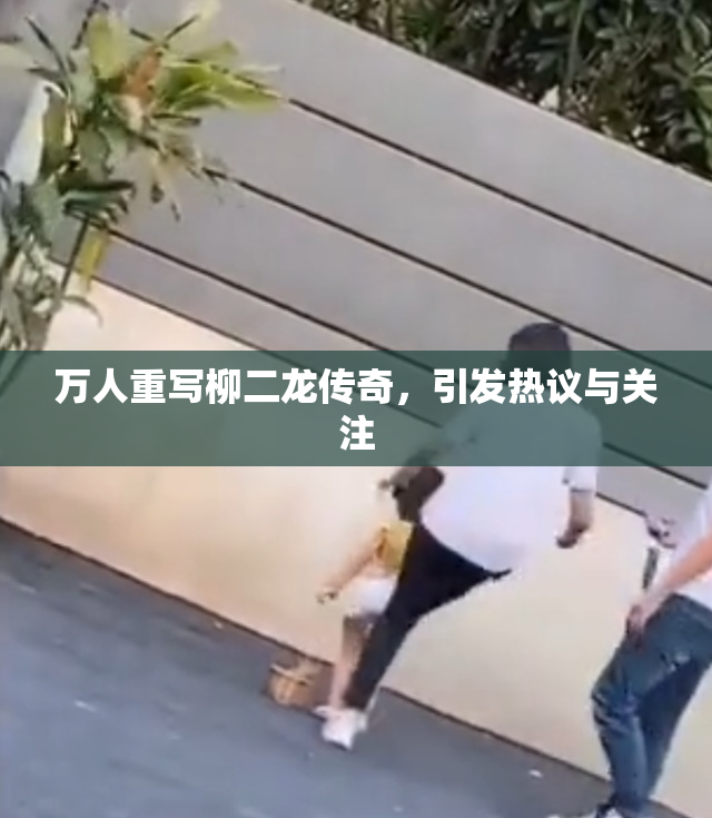 万人重写柳二龙传奇，引发热议与关注