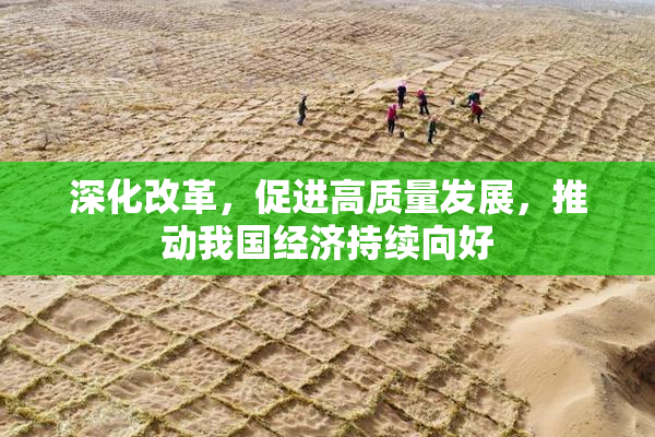 深化改革，促进高质量发展，推动我国经济持续向好