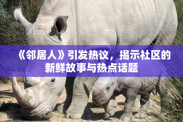 《邻居人》引发热议，揭示社区的新鲜故事与热点话题