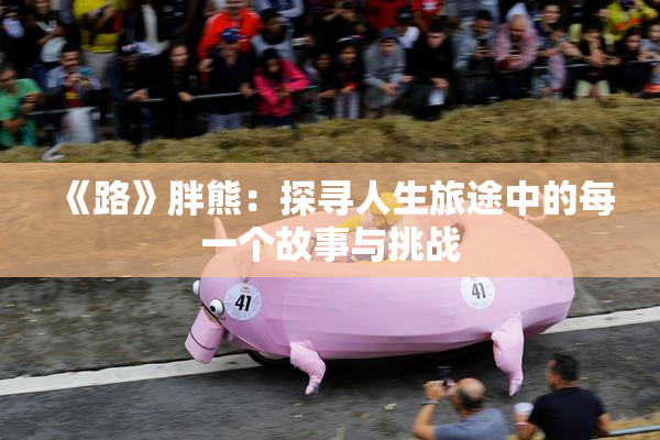 《路》胖熊：探寻人生旅途中的每一个故事与挑战