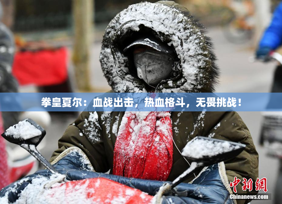 拳皇夏尔：血战出击，热血格斗，无畏挑战！