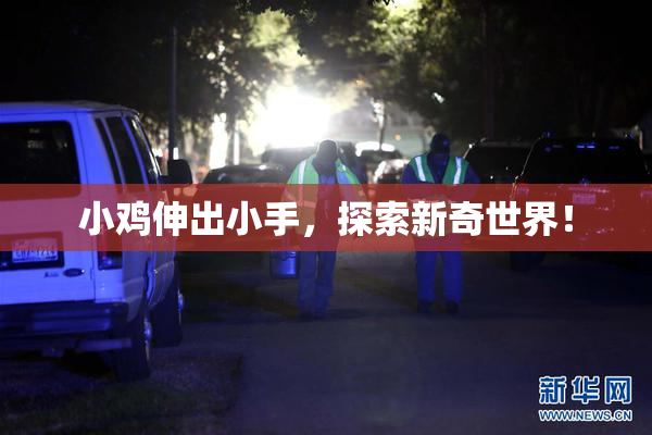 小鸡伸出小手，探索新奇世界！