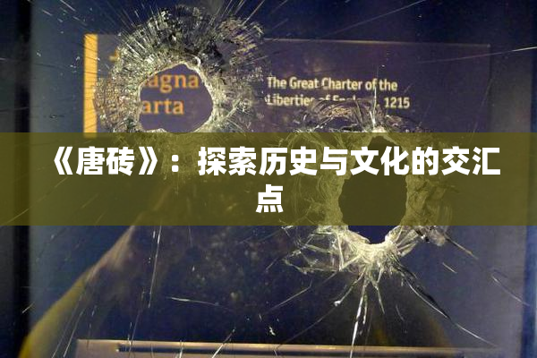 《唐砖》：探索历史与文化的交汇点
