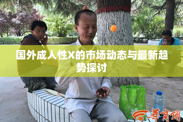 国外成人性X的市场动态与最新趋势探讨