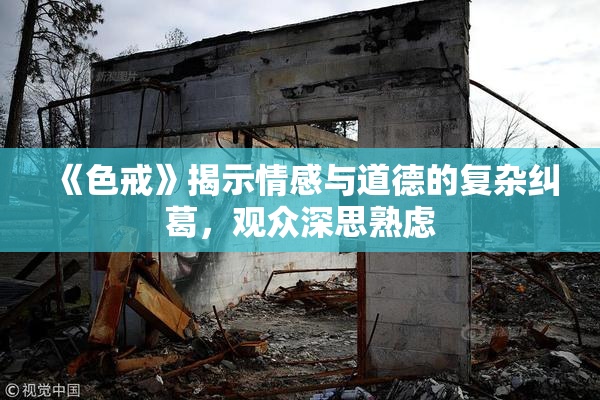 《色戒》揭示情感与道德的复杂纠葛，观众深思熟虑