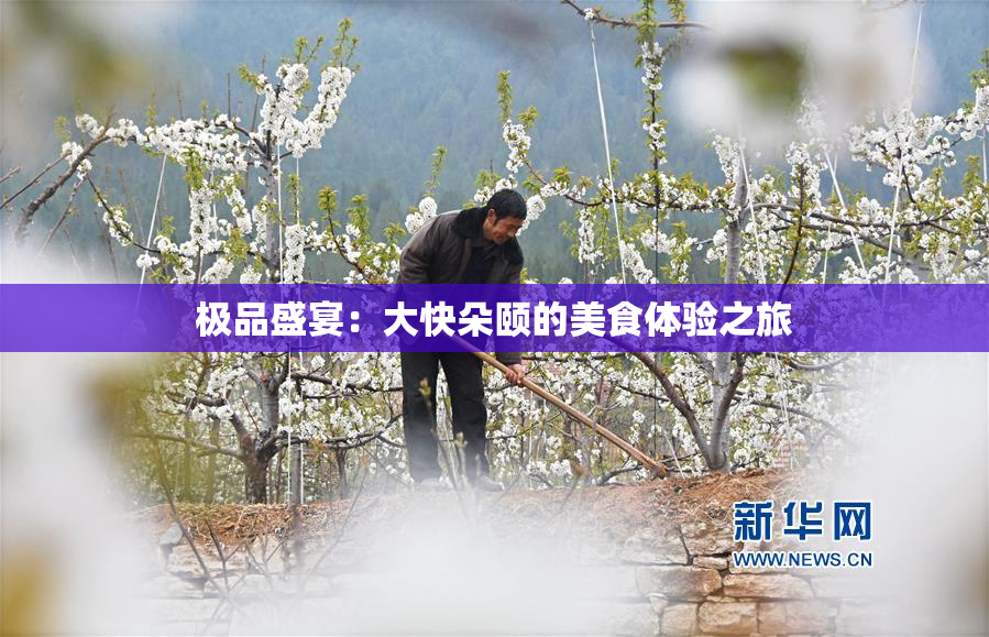 极品盛宴：大快朵颐的美食体验之旅