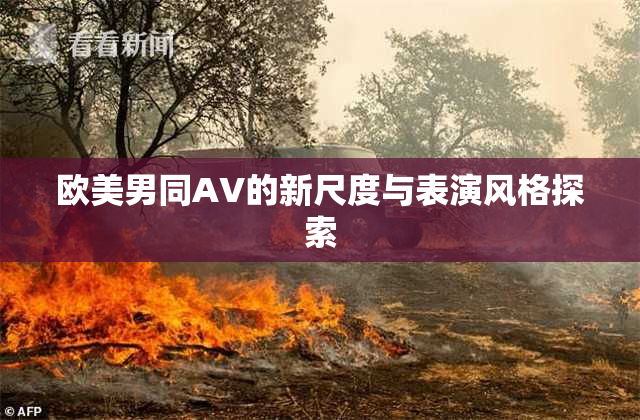 欧美男同AV的新尺度与表演风格探索