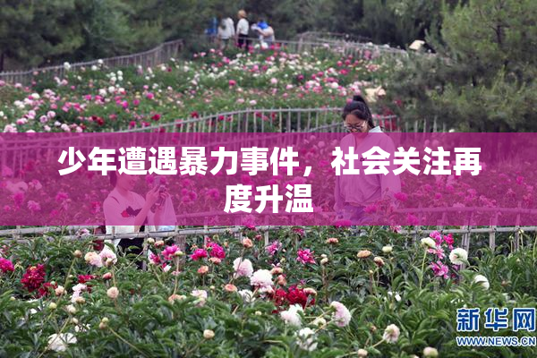 少年遭遇暴力事件，社会关注再度升温