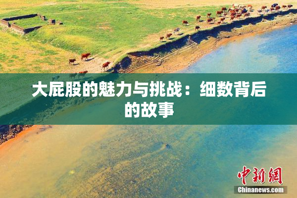 大屁股的魅力与挑战：细数背后的故事