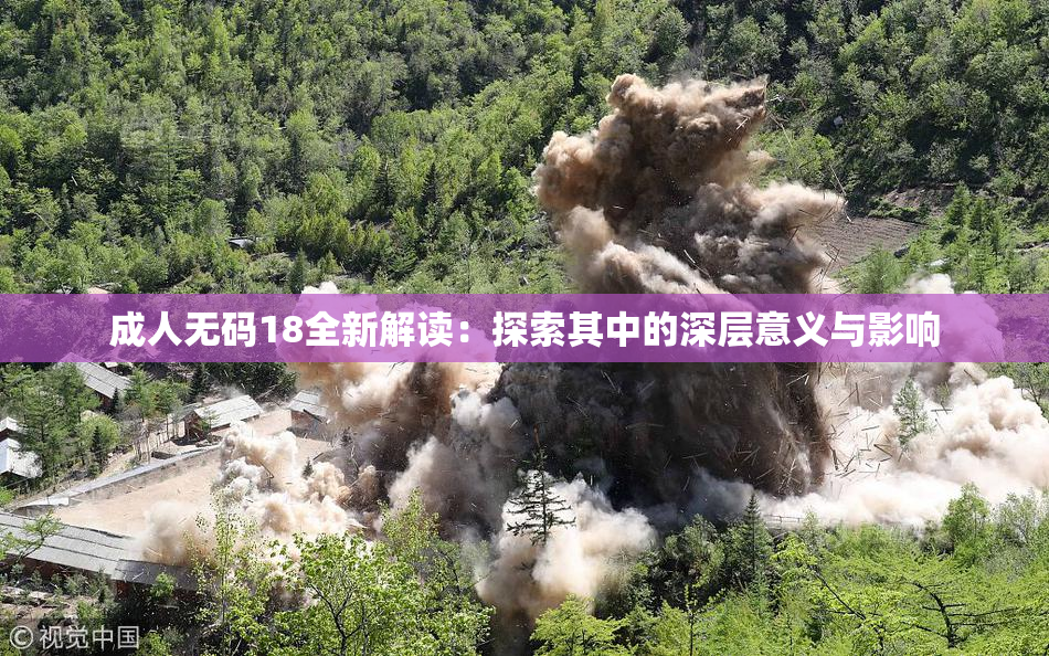 成人无码18全新解读：探索其中的深层意义与影响