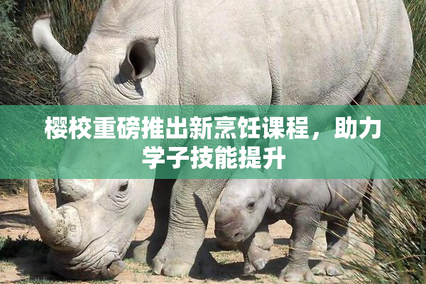 樱校重磅推出新烹饪课程，助力学子技能提升