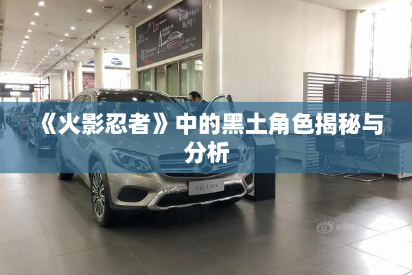 《火影忍者》中的黑土角色揭秘与分析