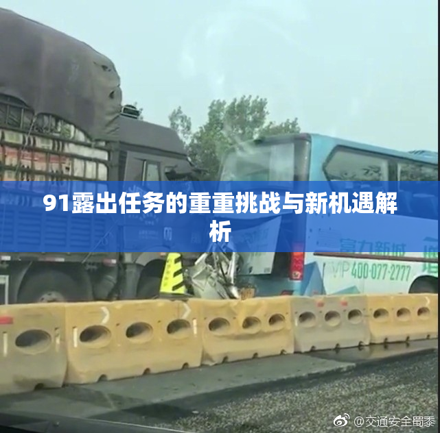 91露出任务的重重挑战与新机遇解析