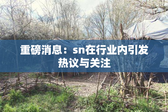 重磅消息：sn在行业内引发热议与关注