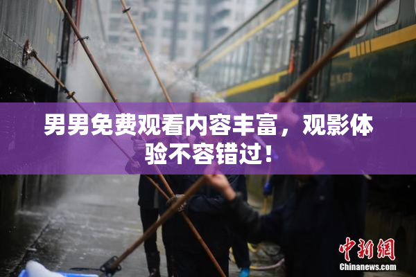 男男免费观看内容丰富，观影体验不容错过！
