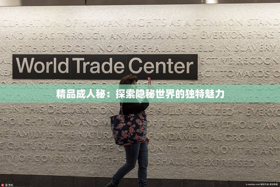 精品成人秘：探索隐秘世界的独特魅力