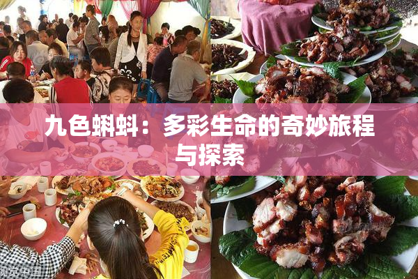 九色蝌蚪：多彩生命的奇妙旅程与探索