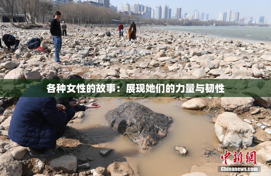 各种女性的故事：展现她们的力量与韧性