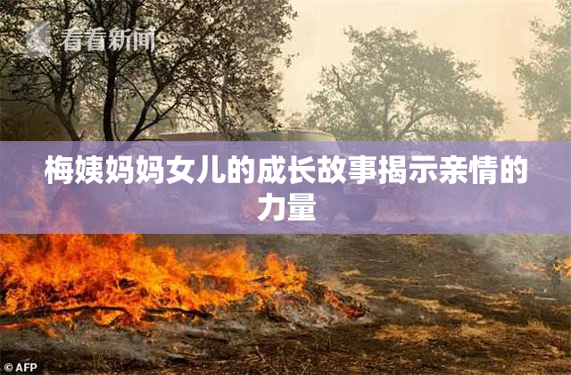 梅姨妈妈女儿的成长故事揭示亲情的力量