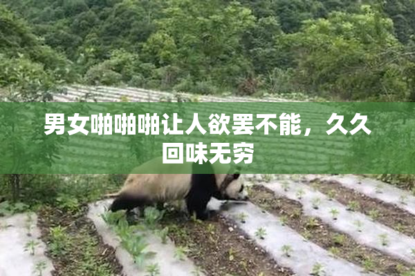 男女啪啪啪让人欲罢不能，久久回味无穷