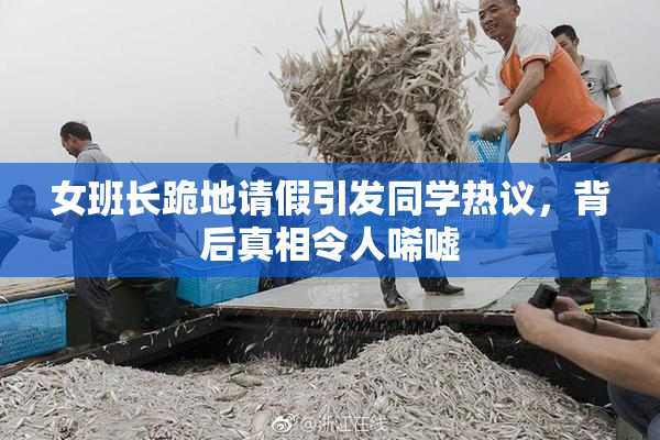 女班长跪地请假引发同学热议，背后真相令人唏嘘
