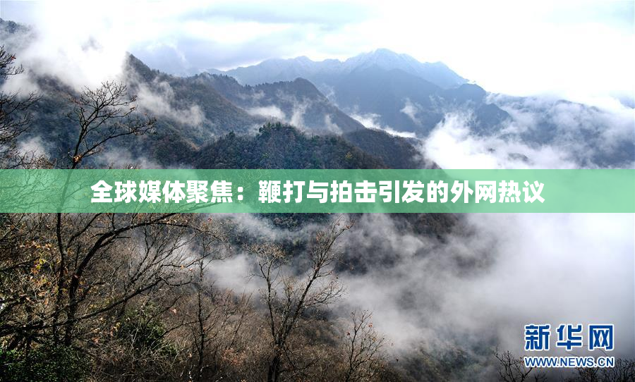 全球媒体聚焦：鞭打与拍击引发的外网热议