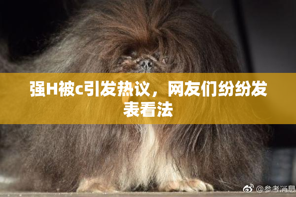 强H被c引发热议，网友们纷纷发表看法