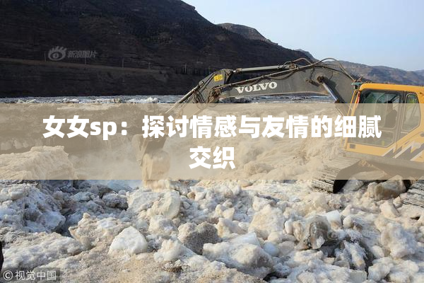 女女sp：探讨情感与友情的细腻交织