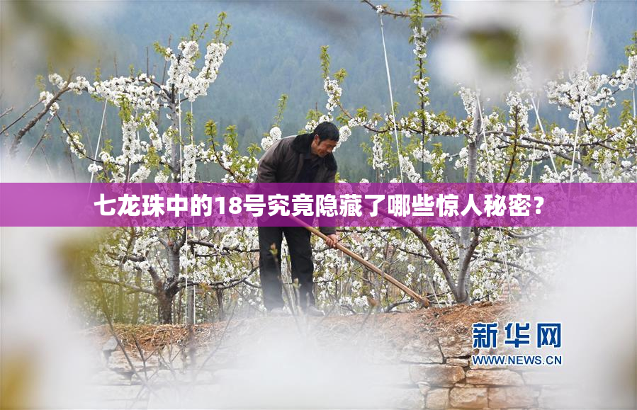 七龙珠中的18号究竟隐藏了哪些惊人秘密？