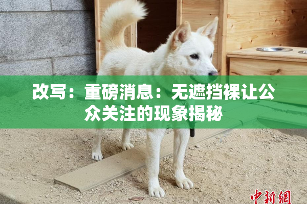 改写：重磅消息：无遮挡裸让公众关注的现象揭秘