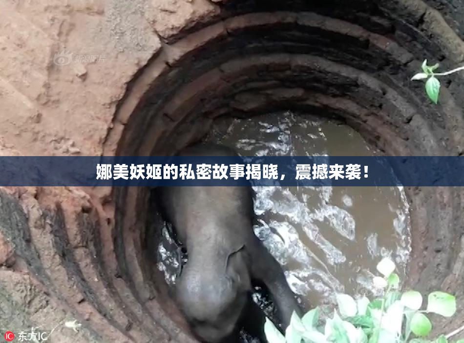 娜美妖姬的私密故事揭晓，震撼来袭！