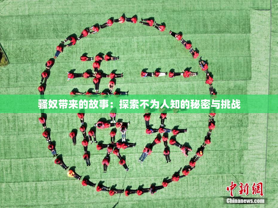 骚奴带来的故事：探索不为人知的秘密与挑战