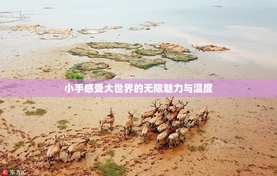 小手感受大世界的无限魅力与温度