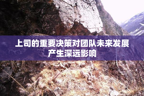 上司的重要决策对团队未来发展产生深远影响