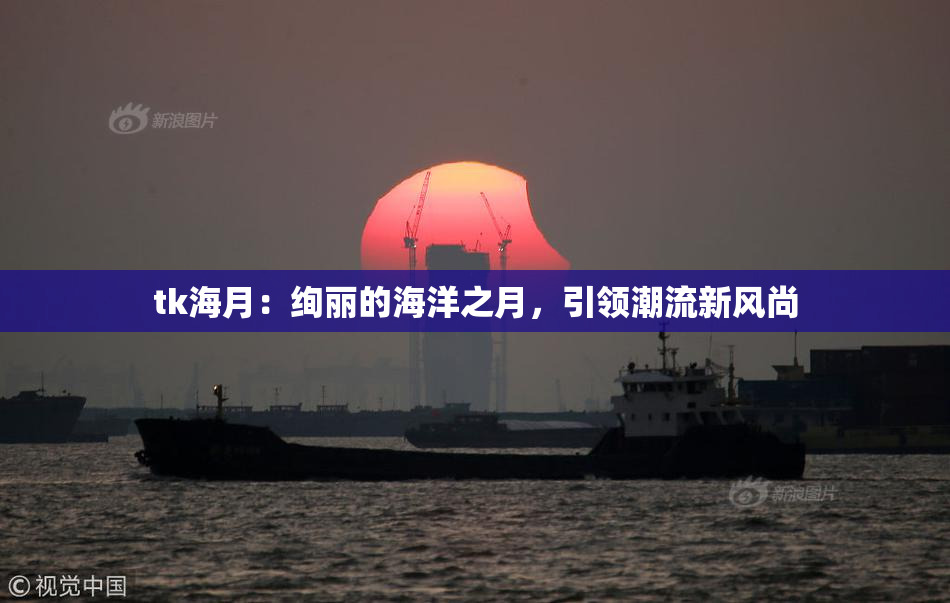 tk海月：绚丽的海洋之月，引领潮流新风尚