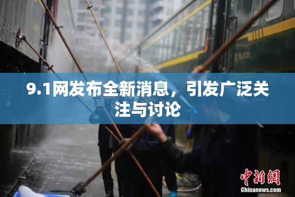 9.1网发布全新消息，引发广泛关注与讨论