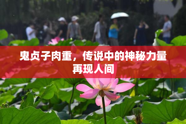 鬼贞子肉重，传说中的神秘力量再现人间