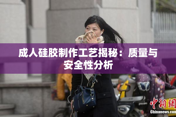 成人硅胶制作工艺揭秘：质量与安全性分析