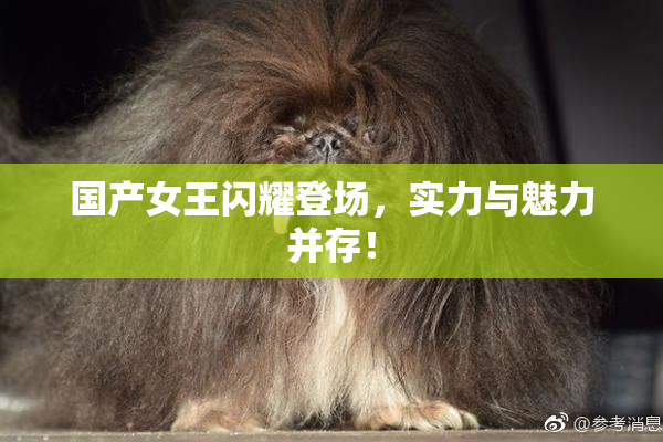 国产女王闪耀登场，实力与魅力并存！